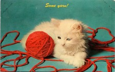 Some Yarn Kitten And Red Yarn Ball Blue Background 1965 Postcard