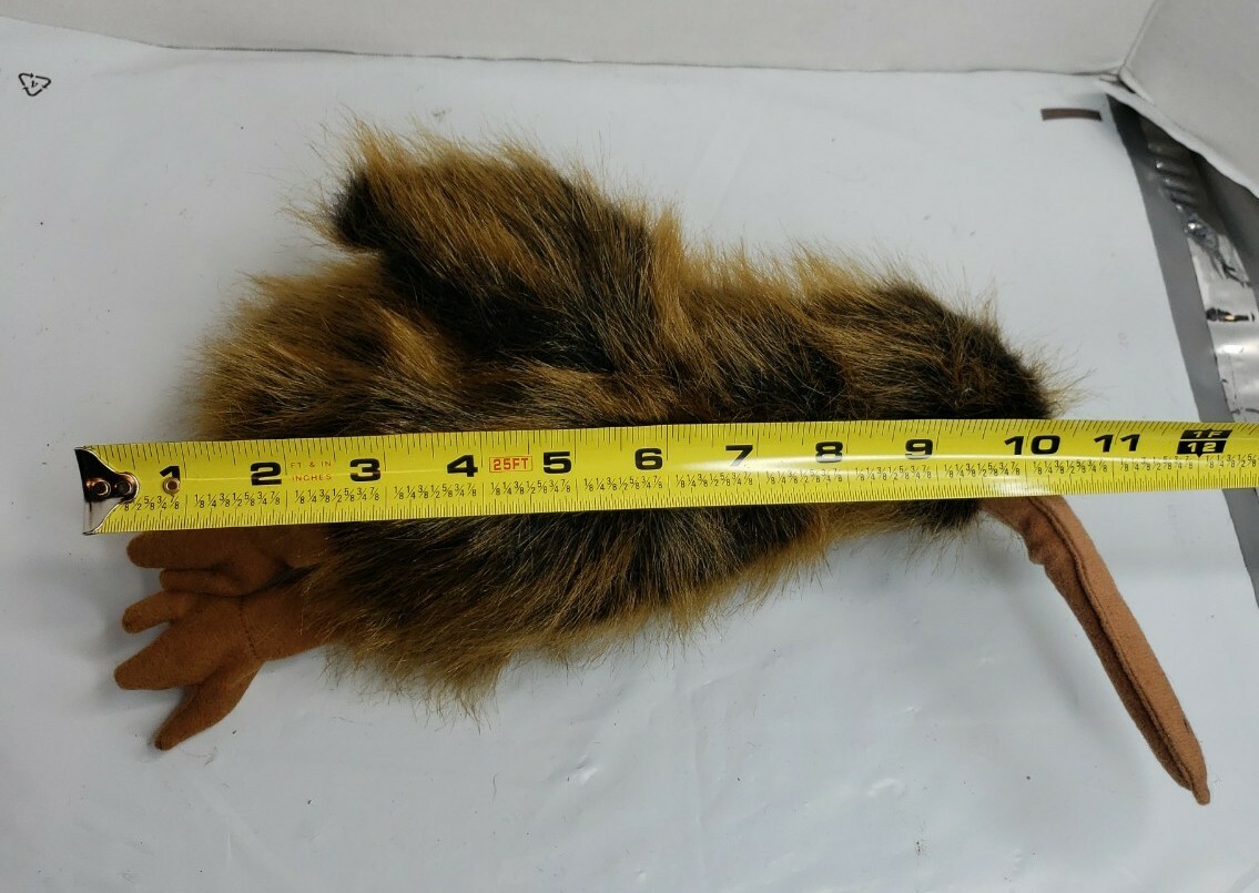 Foto 10 di 10