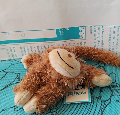 Jellycat Tiny Truffles Monkey Neu mit Etikett
