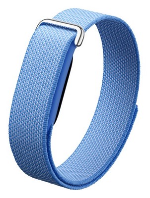 FITBIT Google Fitbit Air Fitness Tracker