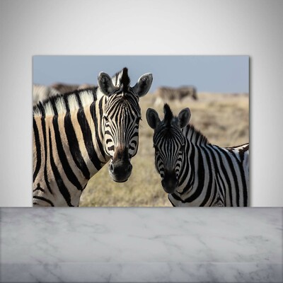 Küchenrückwand Spritzschutz aus Glas 100x70 Deko Tiere Zwei Zebras