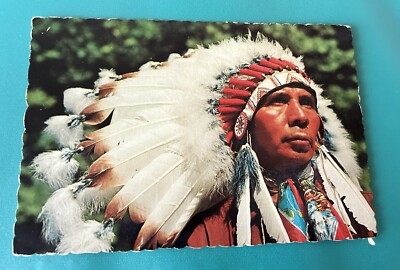 Indian Chief Post Card