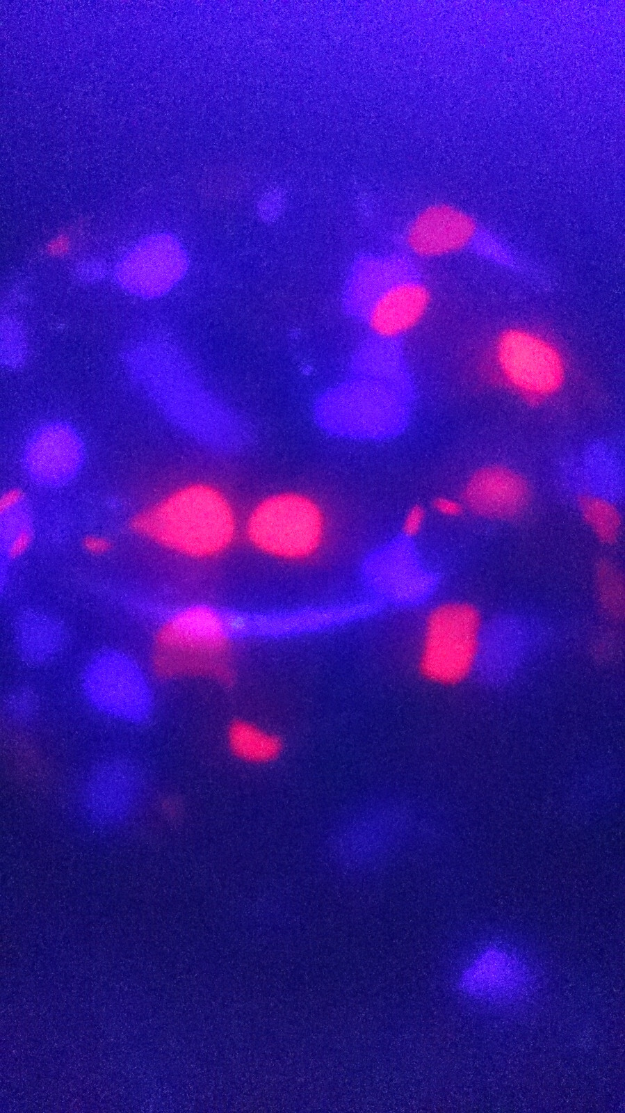 Picture 19 of 19