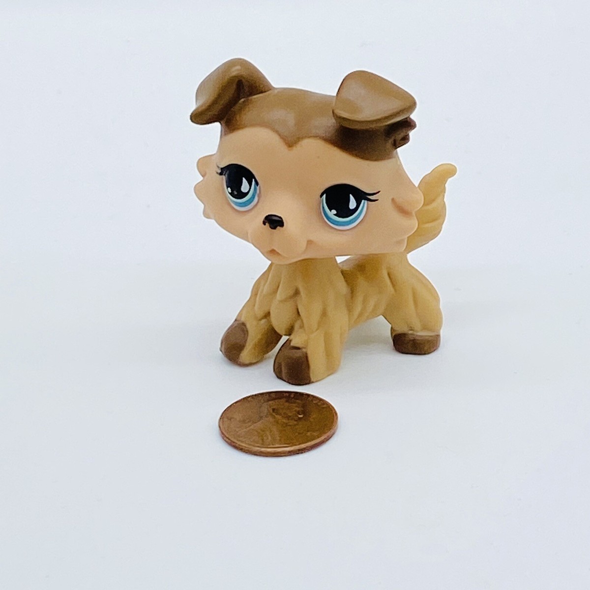 Littlest pet shop Chien border collie #893 - Jeux & Jouets