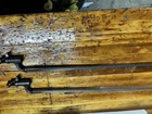 Civil War Era Bayonets Pattern 1853 British Enfield