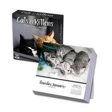 Turner Licensing,  Cats And Kittens 2026 Desk Calendar, 5.5'' X 5.5'', 12-Month