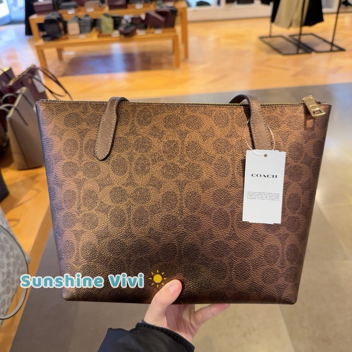 NWT COACH Fiona Zip Tote Bag In Signature Canvas CW396, IM/BROWN