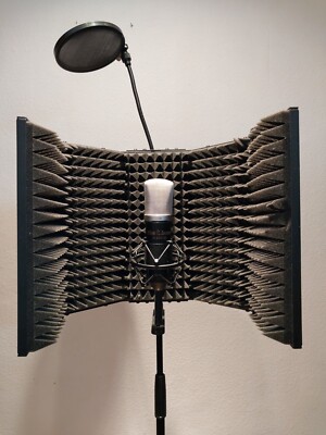 the t.Bone SC450  USB Set. zum Vertonen inkl.  Schallschutz) und Popschutz.