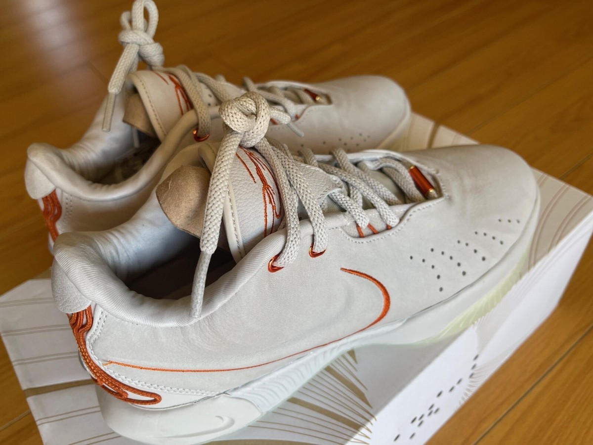 Size 9.5 - Nike LeBron 21 Akoya Ivory FV2345-001 Brand NEW!!! | eBay