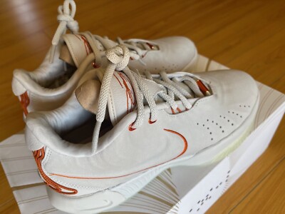 Size 9.5 - Nike LeBron 21 Akoya Ivory FV2345-001 Brand NEW!!! | eBay