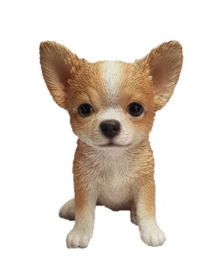 Brown White Chihuahua Puppy Vivid Arts
