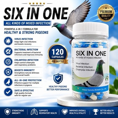 PIGEON SIX IN ONE