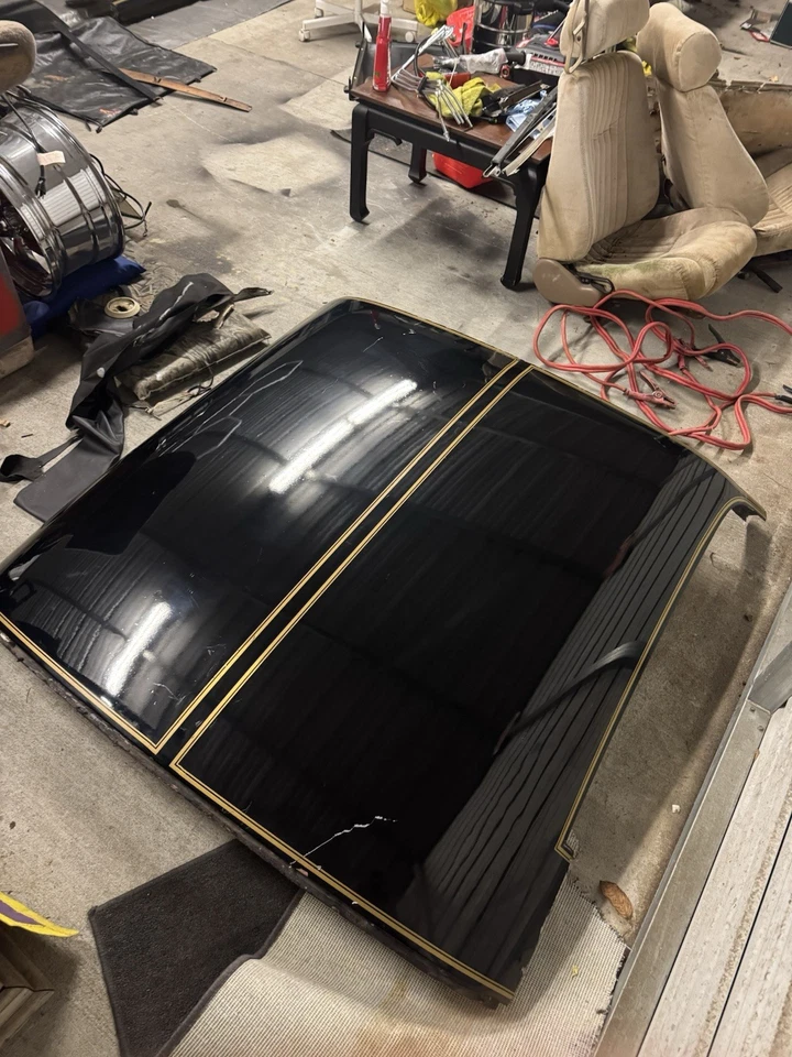 1971-1981 Pontiac Firebird Trans Am capa dura bom estado raro!!! - Imagem 2 de 4