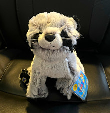 GANZ Webkinz Raccoon Plush Stuffed Animal HM143 2007 with Tag