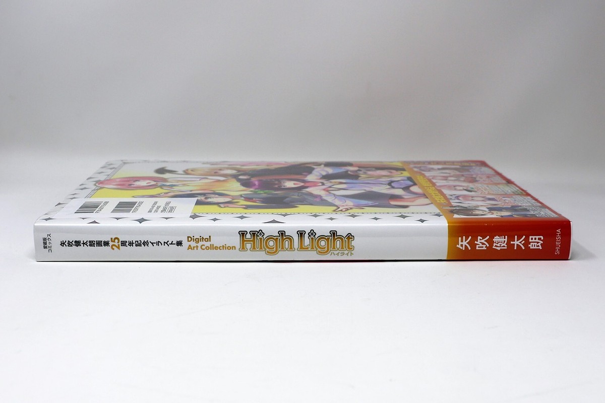 Kentaro Yabuki Manga Illustrations Hardcover Art Book To Love Ru