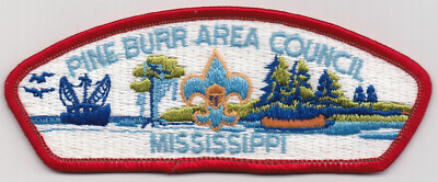 CSP - PINE BURR AREA COUNCIL - S-3