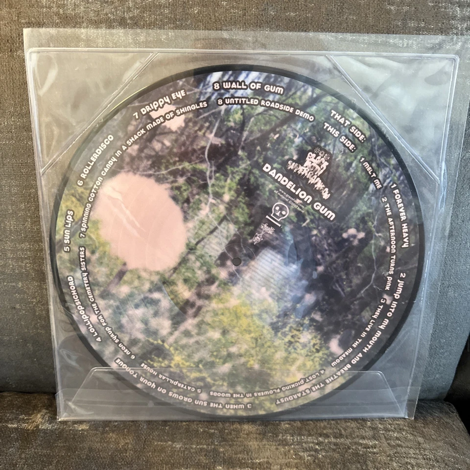 Black Moth Super Rainbow – Dandelion Gum Picture disc NM Lp Vinyl LP102 RARE Foto 2 de 2