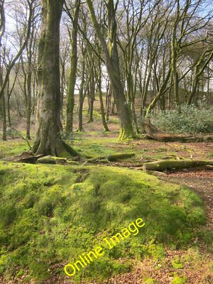 Foto 12x8 Mossy Bank, Lewesdon Hill Broadwindsor vom gleichen Punkt wie [c2014