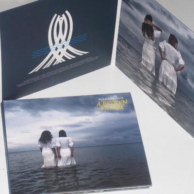 A Broken Frame -Digi- - Marsheaux (Audio cd)