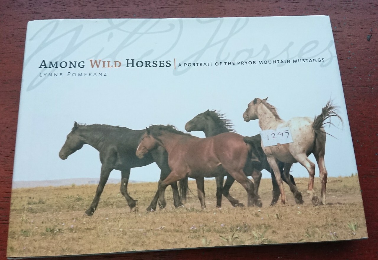 Among Wild Horses A Portrait of the Pryor Mountain Mustangs by Lynne Pomeranz
