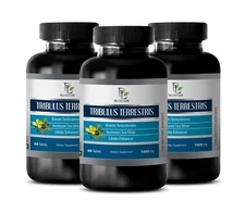 Herbal performance fuel - TRIBULUS TERRESTRIS - Workout vitality booster 3Bot