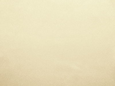 LIGHT CHAMPAGNE BEIGE Feather-Light Weight Poly Silk-Look Charmeuse SATIN Fabric