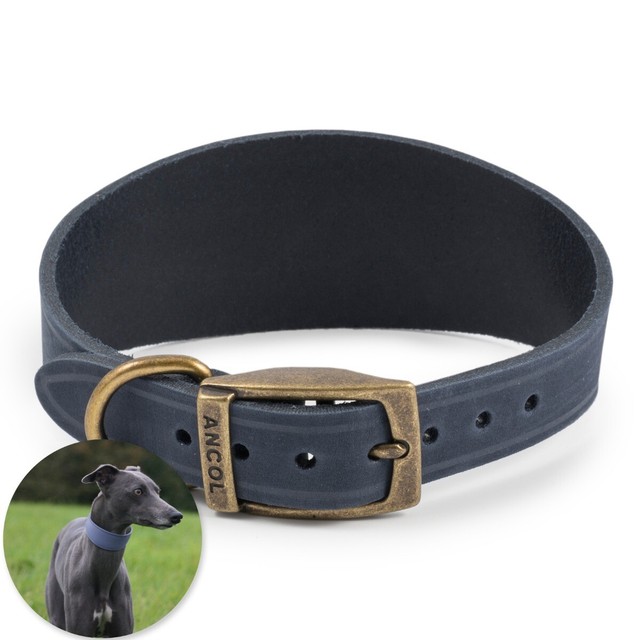 ancol whippet collar