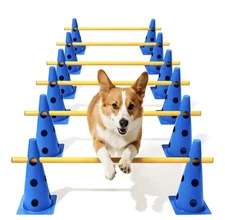 Dog Agility Set