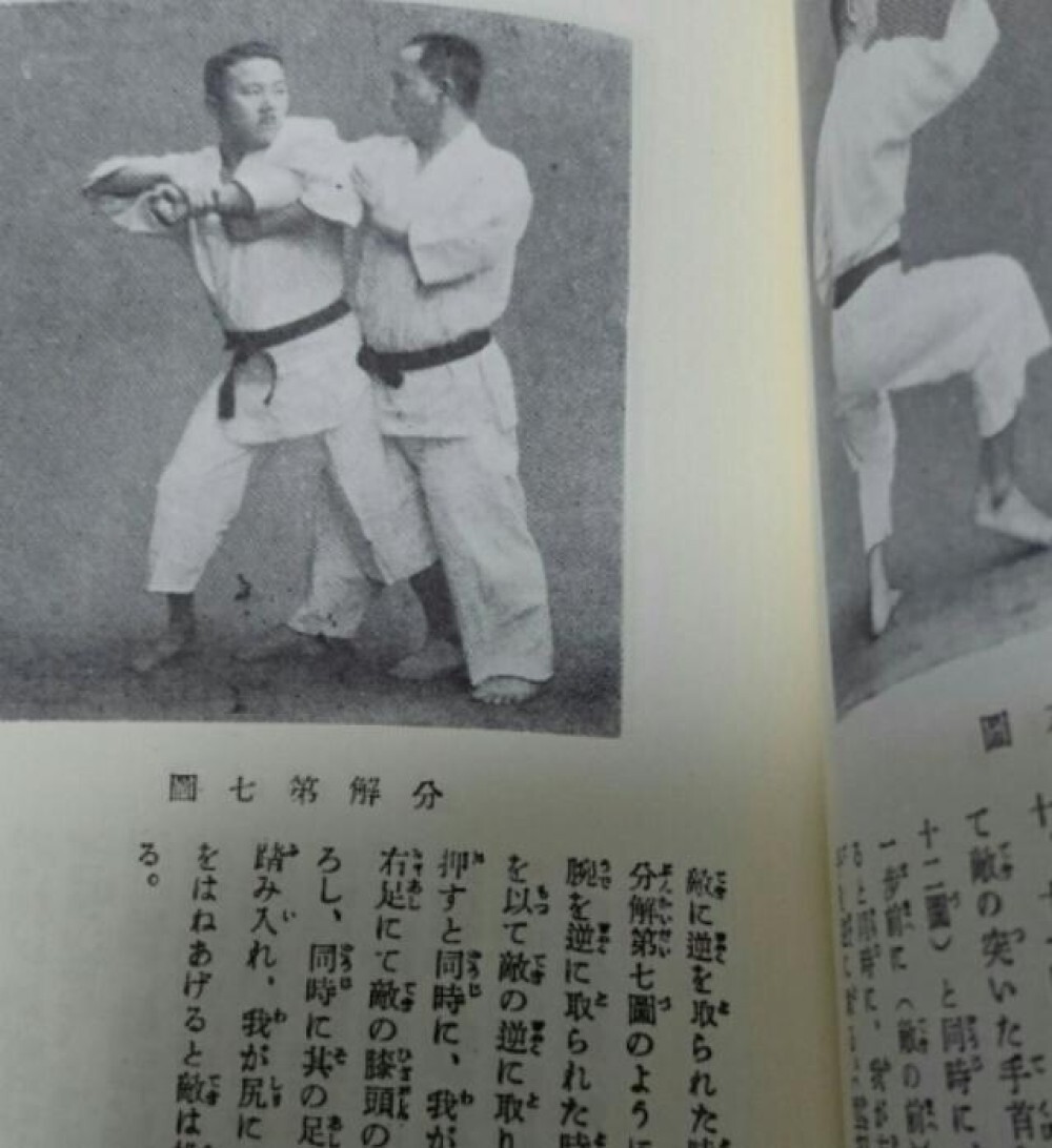 Seipai Karate Kenpo Kata Shito-ryu Book Martial Arts Nahate, Nafadi | eBay