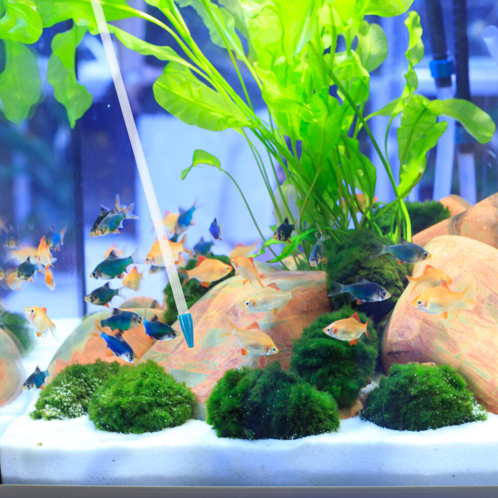 Coral Feeder Automatic Fish for Aquarium Turkey Baster Large Reef