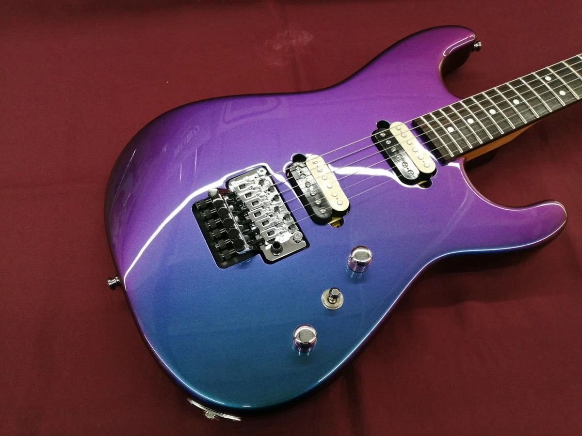 CHARVEL CSTM SD 2H INTERFERENCE eBay