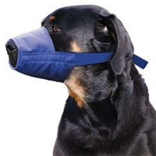 Quick Muzzle, XXL, Blue