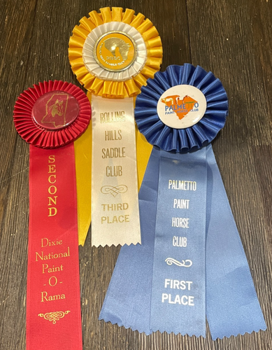 Lot 10 horse show ribbons rosettes crafts Race Watch Party Decor GA SC Clubs - 第 9/12 張圖片