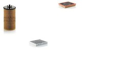 Inspektionspaket Filtersatz L MANN-FILTER Aktivkohlefilter Filtereinsatz für G09