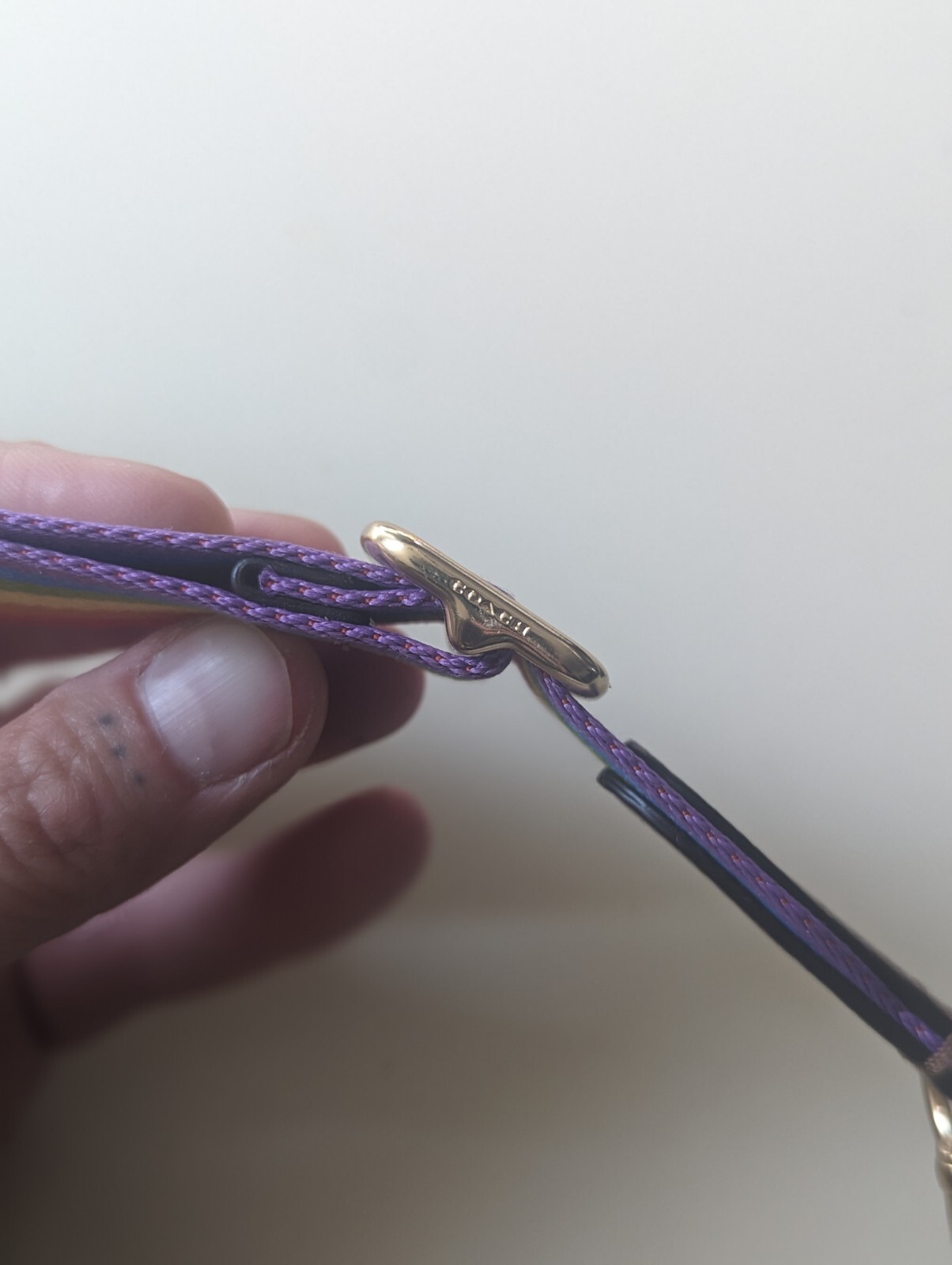 Coach Rainbow Webbing Strap Removeable Purse Extr… - image 6