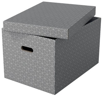 3 Esselte Aufbewahrungsbox Home L, 3er Set, grau