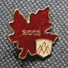 Rocky Mountaineer Train Whistler Canada 2013 Ski Lapel Pin