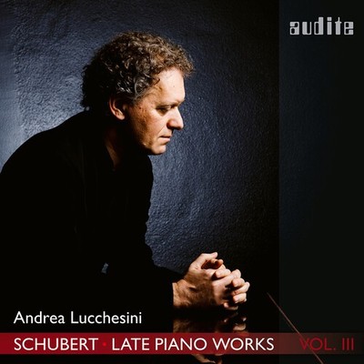 Andrea Lucchesini - Late Piano Works 3 [Used Very Good CD]
