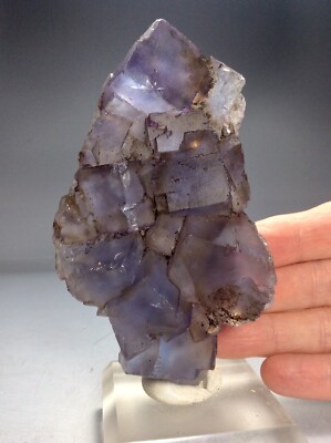 SS Rocks - Blue Fluorite (Minerva #1 Mine, Cave In Rock, Illinois