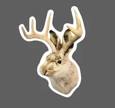 Jackalope Sticker Rabbit Deer Waterproof Fantasy  Antlers Gift NEW