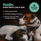 Pet Honesty Dog & Cat Dental Finger Wipes, Teeth Cleaning, Fresh Breath - 30 ct — photo 2