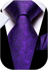 Mens Paisley Floral Silk Tie for Men Striped Necktie and Pocket Square Cufflinks