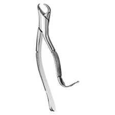 Extracting Surgical Serrated Forceps 16 1st And 2nd Lower Molars