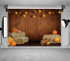 10x8ft Halloween Thanksgiving Harvest Pumpkin Photo Background Vinyl Backdrop LB