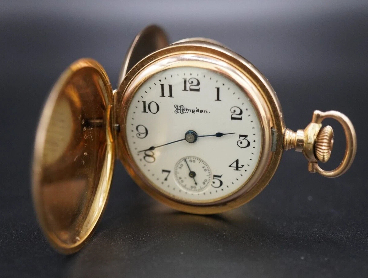 Molly stark watch new arrivals