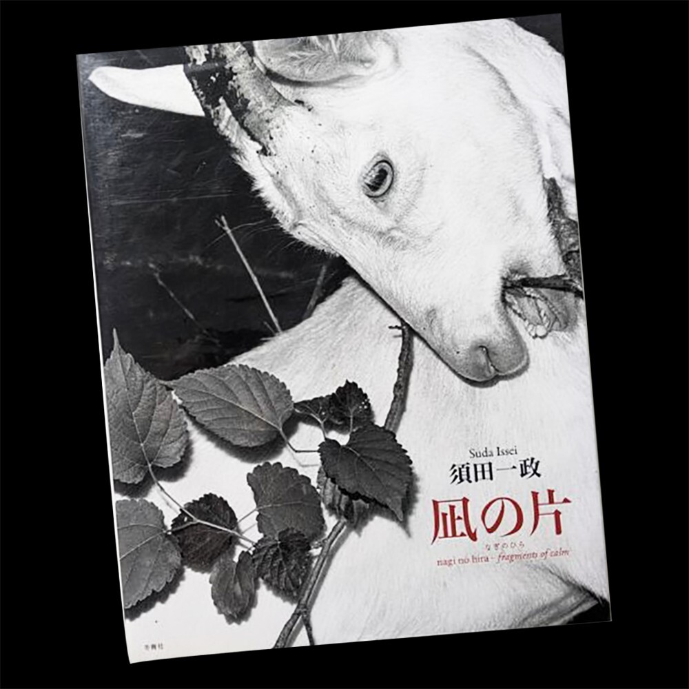 Fragments of Calm Issei Suda Photo Book 2013 Japanese Photography