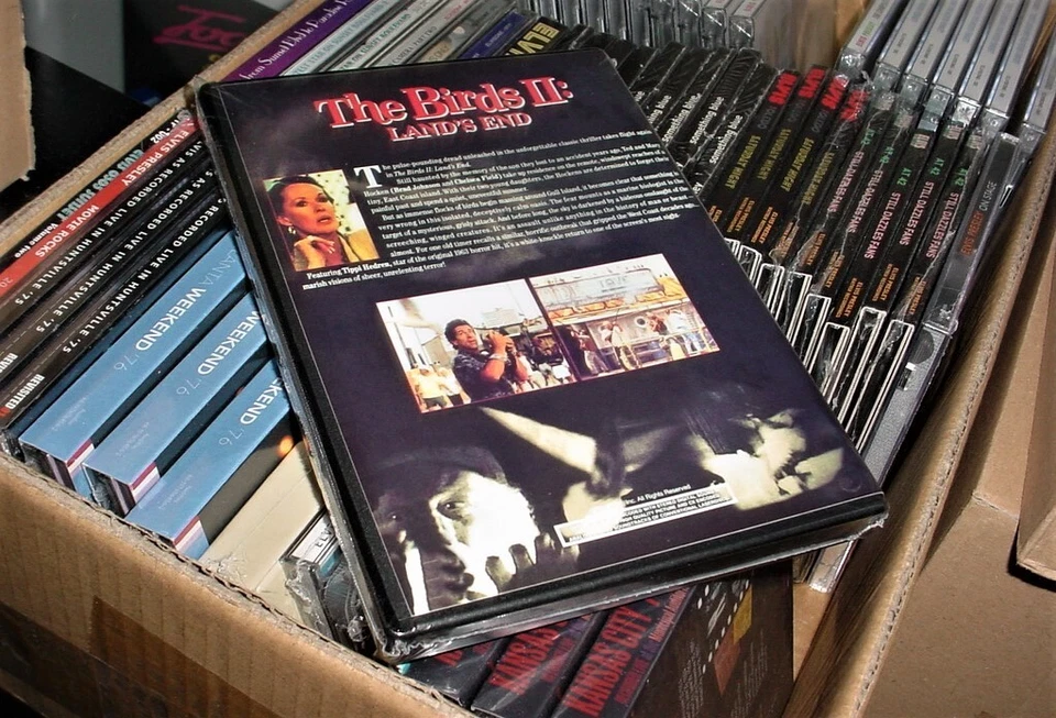 The Birds II: Land's End DVD - Imagem 2 de 2