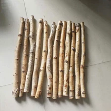 1Pc Natural Dried Tree Branch Birch Stick Flower Home Garden Party Floral Decor