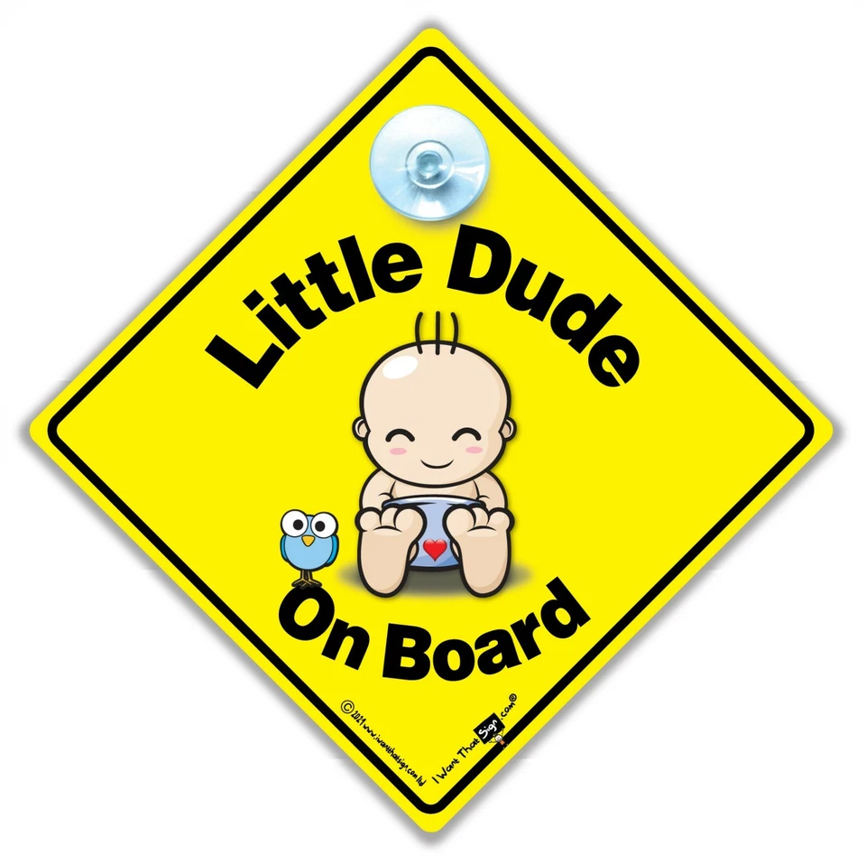 Little DUDE On Board Car Sign Suction Cup Car Sign, Baby On Board Sign For Boys