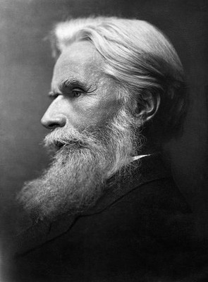 Henry Havelock Ellis the English physician and author of the contr- Old Photo